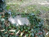 image of grave number 660323